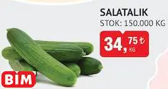 SALATALIK